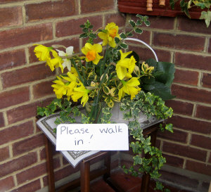 Daffodil entrance