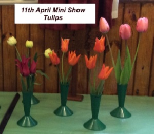 Tulip Show