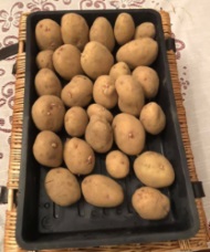 Potatoes