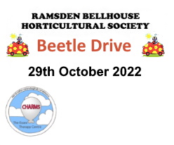 Charity Beetle Drive