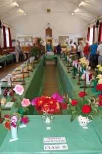 Hall Display